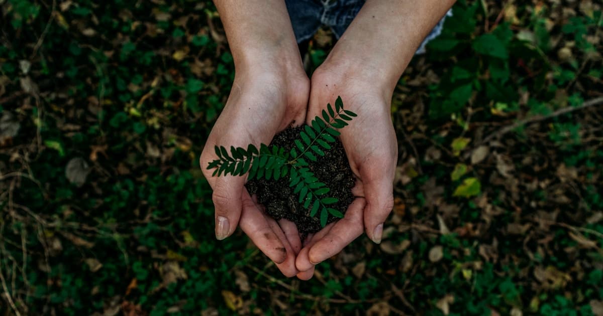 Sustainable eco-friendly gift items displayed naturally